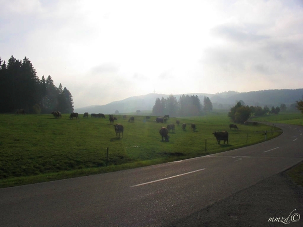 strada_romantica_065