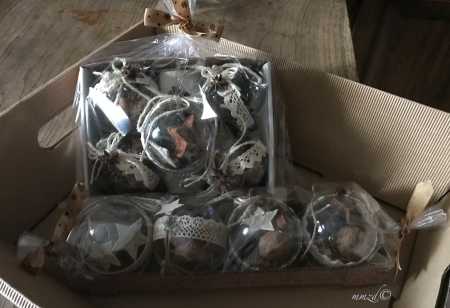 dostanie_Domcia_i_Rena